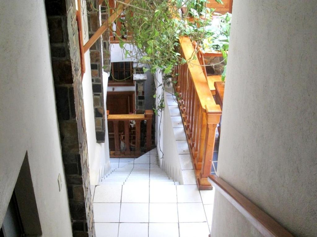 سيليتلا Hotel Guzman المظهر الخارجي الصورة